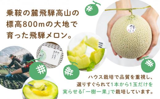 【先行受付】庄兵衛さん家のメロン2玉（7月下旬～順次発送）| メロン フルーツ 果物 アースメロン 箱入り 期間限定 数量限定 ギフト 贈答 人気 おすすめ お取り寄せ 飛騨高山 寺田農園 BN007