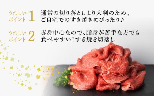 飛騨牛 すき焼き 切落し 600g | 冷凍 切り落とし 肉 牛肉 ブランド牛 国産牛 国産 贈答不可 のし対応不可 飛騨高山 肉の匠家 BV009