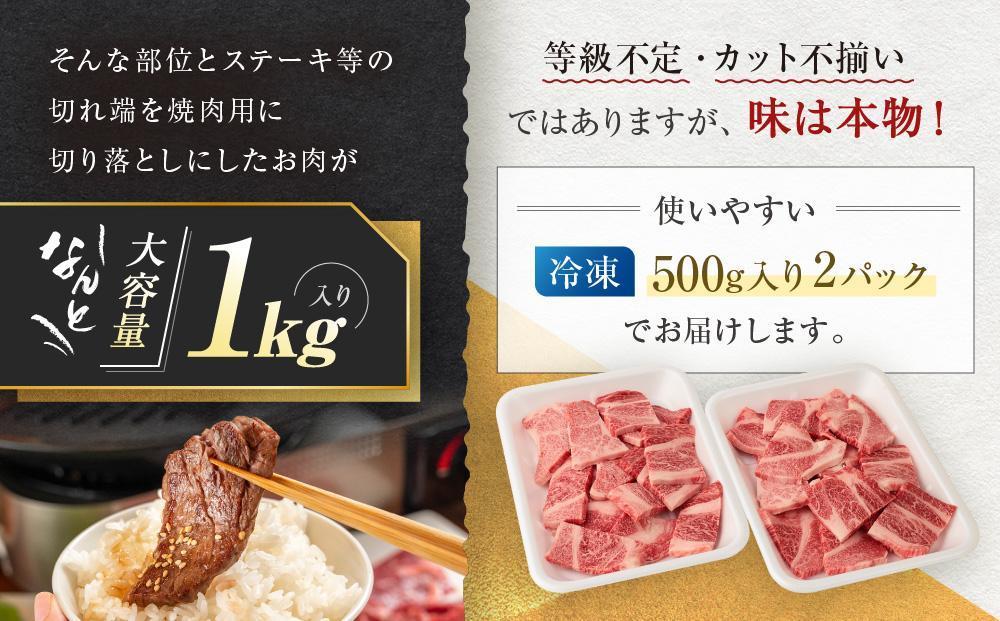 【9月配送】訳あり 飛騨牛焼肉用切り落とし たっぷり1kg （不揃い・大容量）| 飛騨牛 肉 おいしい 飛騨高山 切り落とし 小分け BBQ 正月 肉の匠家 BV027VC09