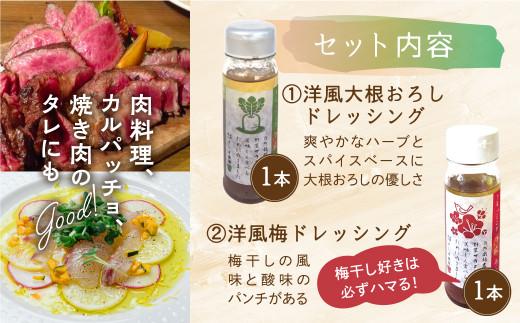 自然栽培農家がつくる 野菜ドレッシング 2種 | 自家栽培農家 ドレッシング 自家栽培 洋風ドレッシング 大根おろし 梅ドレッシング 農家 飛騨高山 よしま農園 CK001