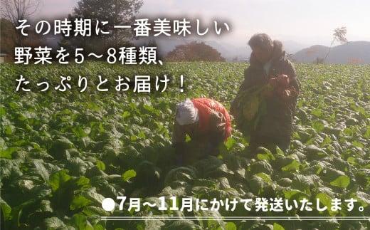 【数量限定】【2026年予約受付】（7月～発送開始） 自然栽培 朝採れ 野菜セット 5～8種 | 先行予約 新鮮 野菜 採れたて トマト ナス キュウリ ゴーヤ オクラ ネギ ししとう 冬瓜半割 ジャガイモ 玉ねぎ など お任せ 飛騨高山 よしま農園 CK008