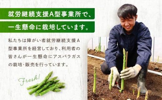 【2026年発送・先行受付】ひだっこアスパラ 600g | アスパラ アスパラガス 飛騨産 野菜 春  夏野菜  産地直送 新鮮 食品 おいしい 人気 CM001VC01