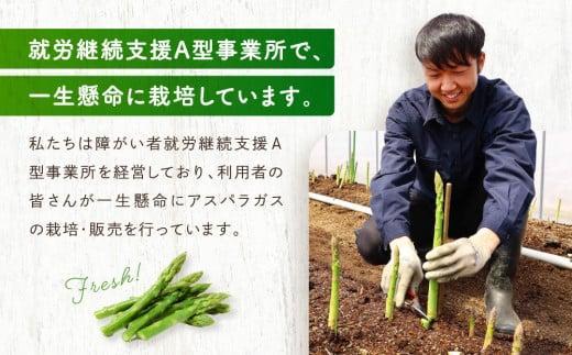 【2026年発送・先行受付】2Lサイズ以上 ひだっこアスパラガス 0.5kg | アスパラ 野菜 やさい 産地直送 春 夏野菜 採れたて グリーンアスパラガス 期間限定 人気 おいしい ひだっこの里 CM003VC01