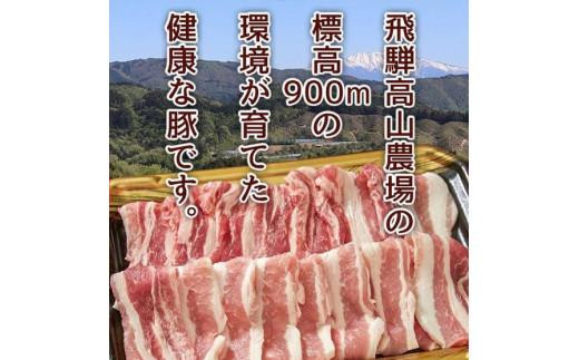 【12月配送】飛騨豚 国産 豚肉 しゃぶしゃぶ セット ロース 300g | 年内発送 バラ 400g 29-206 ブランド豚 ファミリーストアさとう 29-206 CY025VC12