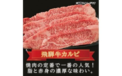 飛騨牛 & 飛騨豚 焼肉セット 合計1kg  ( 飛騨牛カルビ 300g ・ 豚ロース 300g ・ 豚バラ 400g ) ファミリーストアさとう CY030VC13