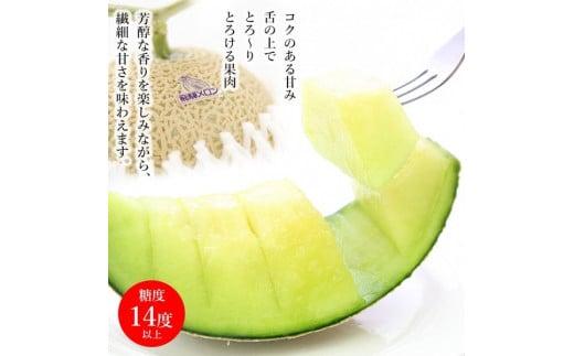 【数量限定】飛騨メロン 1玉 2L～3Lサイズ (約1.5kg)  化粧箱入 21-326 7月中旬まで受付 CY032