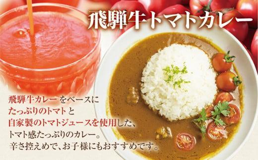 【3ヶ月以内発送】飛騨牛カレー (3袋) 飛騨牛トマトカレー (2袋)  計5食  | 訳あり 飛騨牛 肉 牛 カレー ビーフカレー 簡易包装 レトルトカレー トマトカレー 人気 おすすめ おいしい 便利 飛騨高山 ふるさと清見 DC003VC13