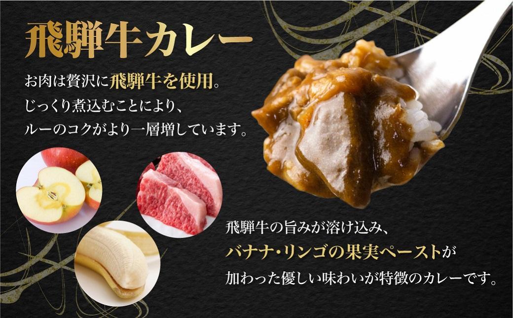 【3ヶ月以内発送】飛騨牛カレー (5袋)  | 訳あり 飛騨牛 肉 牛 カレー ビーフカレー 簡易包装 レトルトカレー 人気 おすすめ おいしい 便利 飛騨高山 ふるさと清見 DC005VC13