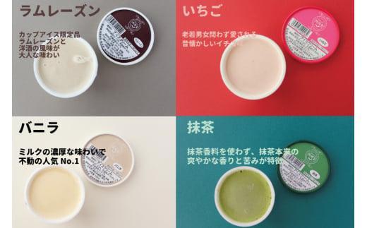 ＜牧成舎＞ 飛騨の牛乳屋が作る ミルクの旨味たっぷり カップアイスクリーム  12個入り（バニラ/抹茶/いちご/ラムレーズン 各3個）| デザート 牧場 アイス 人気 おいしい 牛乳 ギフト プレゼント バレンタイン ホワイトデー 母の日 飛騨高山 牧成舎 DF018VC13