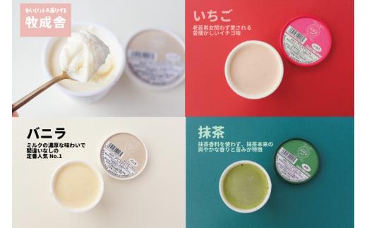 『牧成舎』飛騨ので愛されるご当地アイス 牛乳屋が作るミルクの旨味たっぷりアイスセット 15個（カップ9個&もなかアイス6個）| アイス バニラ 抹茶 いちご コーヒー 乳製品 アイスクリーム 最中アイス 飛騨高山 牧成舎 DF025