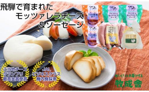 ＜牧成舎＞飛騨の美味しい乳製品を選べるチケット 12枚分 (チーズ＆ソーセージ 牛乳＆ヨーグルト＆チーズ 最中アイス チーズたっぷりピザ) DF032