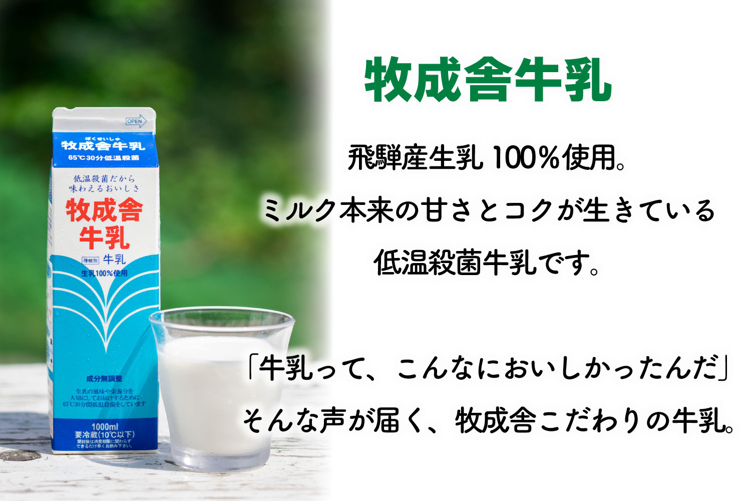【飛騨産低温殺菌牛乳・飲むヨーグルトセット】牧成舎牛乳1000ml×2本／のむヨーグルト750ml×1本｜食品添加物不使用・濃厚・お取り寄せ・子どもにも｜ (有)牧成舎 DF044