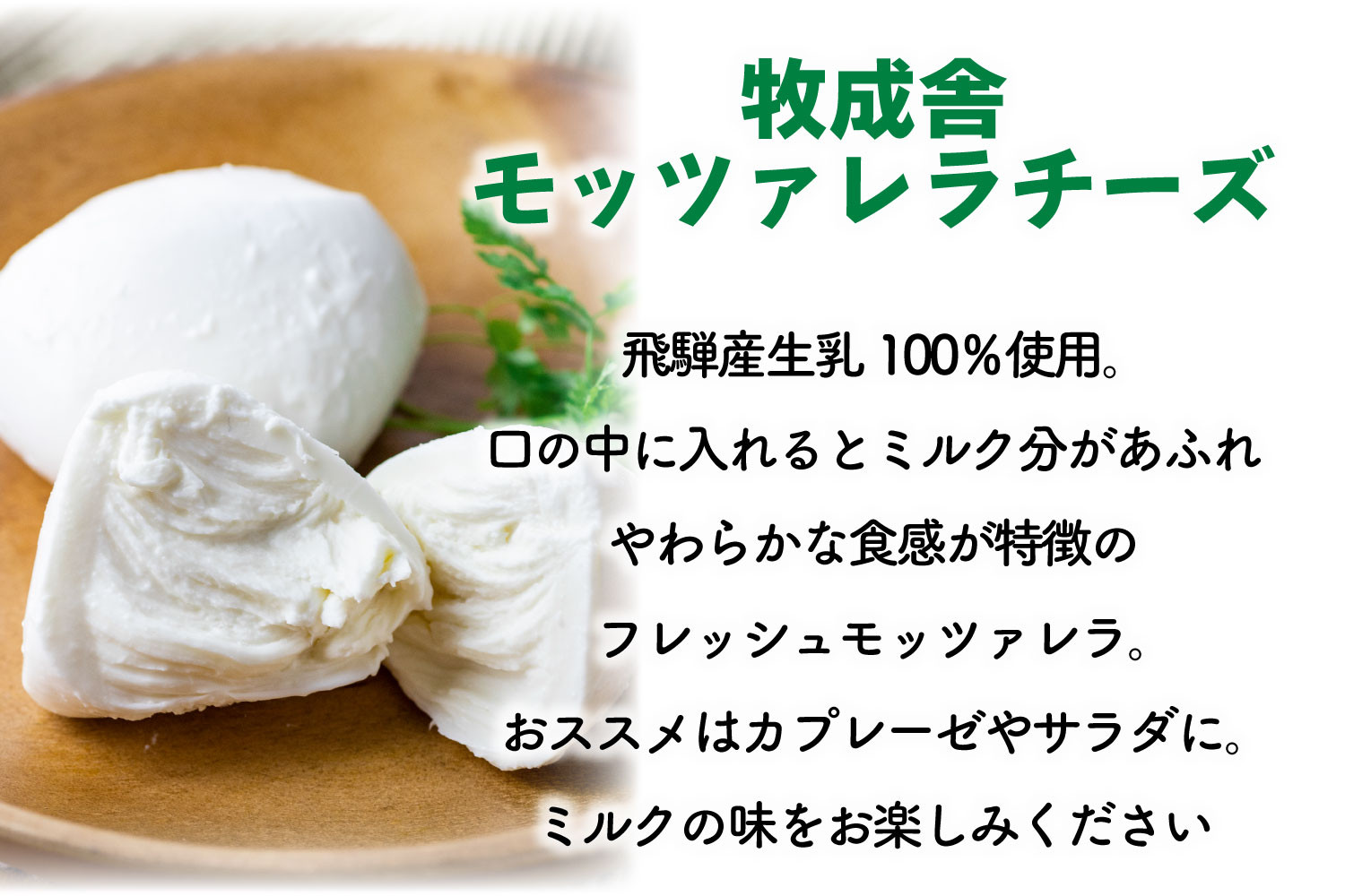 【3か月定期便】牧成舎のフレッシュモッツァレラチーズ2個 (有)牧成舎 DF220