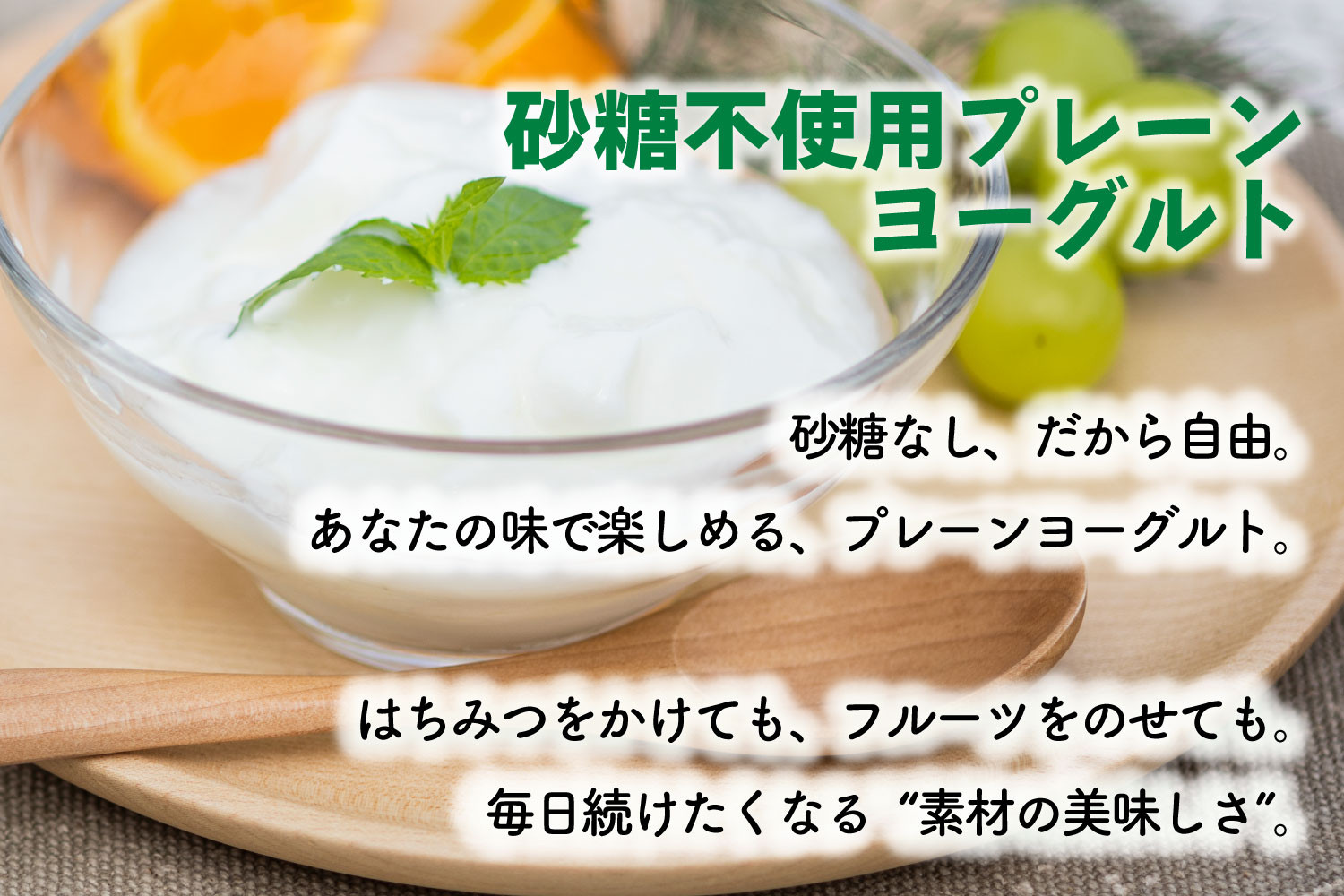 【6か月定期便】牧成舎のプレーンヨーグルト（砂糖不使用）12個入り 牧成舎 DF225