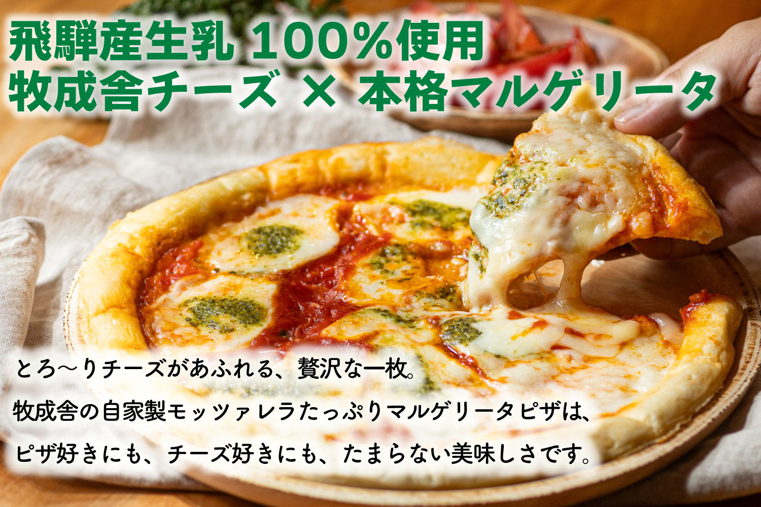 【3か月定期便】牧成舎おススメ飛騨ピザ・チーズ・ヨーグルトのバラエティセット｜乳製品 詰合せ デザート 惣菜 乳飲料 牧成舎 DF232