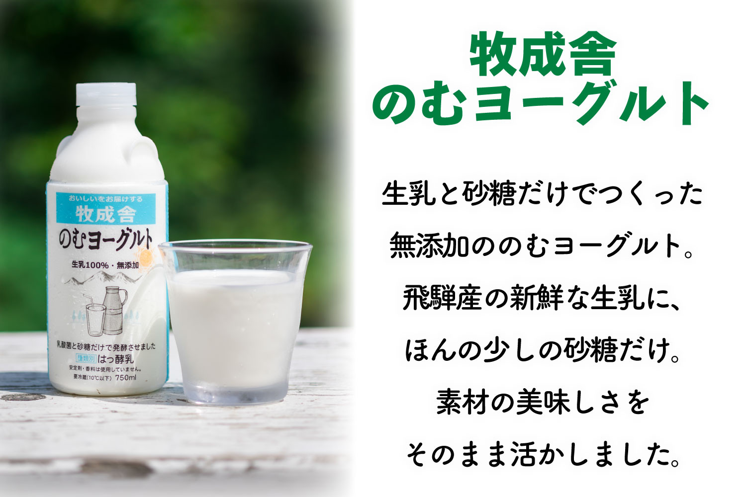 【12か月定期便】牧成舎のむヨーグルト 750ml×6本セット　飛騨産生乳使用｜乳製品 毎日習慣 素材 自然の恵み 乳飲料 (有)牧成舎 DF251