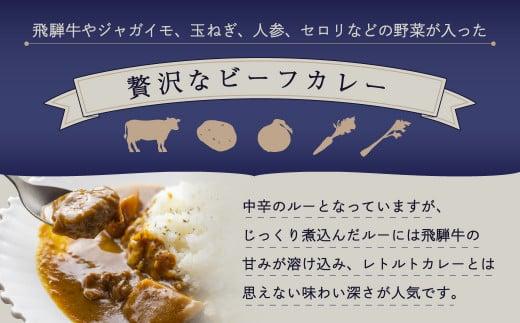 本格飛騨牛レトルトカレー 230g×10個 | 飛騨牛 レトルトカレー 贅沢 カレー 本格 中辛 ビーフカレー 便利 簡単調理 高山市 高山フローラ EY005