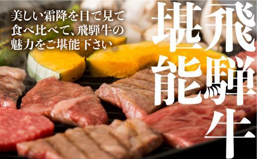 【定期便 12月開始】（全4回）A5ランク 飛騨牛 贅沢 食べつくし 約1.8kg  ( カルビ・もも / ロースすき焼き / 肩ロースしゃぶしゃぶ / シャトーブリアン)  | 肉 a5 食べ比べ 希少部位 飛騨高山 有限会社ながせ食品 FH100VC12