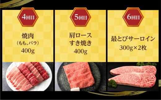 【定期便6ヶ月】 A5ランク肉 飛騨牛 定期便 約2.6kg(360g以上×6ヶ月) 牛肉 ( 焼肉 すき焼き しゃぶしゃぶ ステーキ 肩ロース ヒレ サーロイン もも バラ ) | 食べ比べ A5  人気 お楽しみ おすすめ 岐阜県 高山市 飛騨高山 ながせ食品 FH101