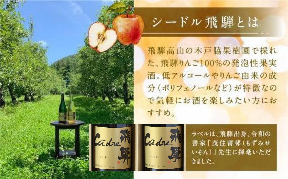 飛騨りんご シードル飛騨 甘口 750ml | スパークリング スパークリングワイン シードル お酒 果実酒 りんご リンゴ 林檎 ワイン 飛騨高山 木戸脇果樹園オーチャードハウス FP002