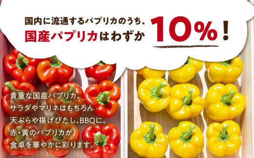 【2025年夏~秋 予約受付】訳あり 『 飛騨パプリカ 』 赤・黄ミックス 約6～10個( 規格外 傷 ) | 有機肥料 ひだパプリカ 国産 野菜 新鮮 緑黄色野菜 パプリカ 赤パプリカ 黄パプリカ BBQ 夏秋栽培 飛騨高山 山腰農園 GD003