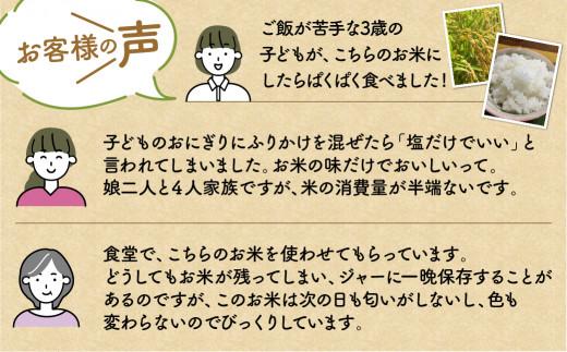 【令和7年産 新米】 飛騨産コシヒカリ 「飛騨の米」 白米（玄米対応可） 5kg  | 白米 玄米 こしひかり 精米 お米 飛騨高山 ファームジネンいいむら GG010