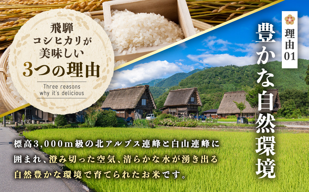 【先行受付】令和8年産新米 飛騨コシヒカリ５kg | 新米 米 ごはん おいしい もっちり 飛騨高山 船場農園 つむぎ果樹園 GH015