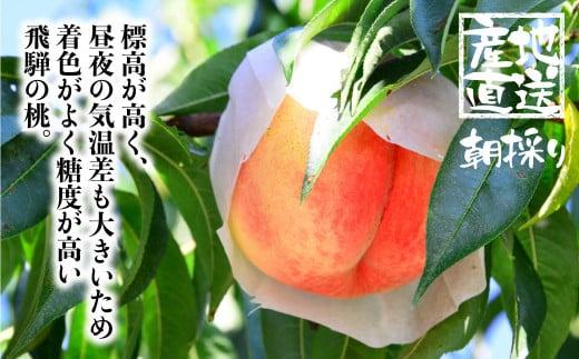 【先行受付】2026年8月発送 桃 飛騨もも 2kg 5～6玉入り | もも モモ 飛騨高山 糖度 甘い 2キロ 果物 白鳳 昭和白桃 など 夏 くだもの お取り寄せ 上広瀬果樹組合 GJ001