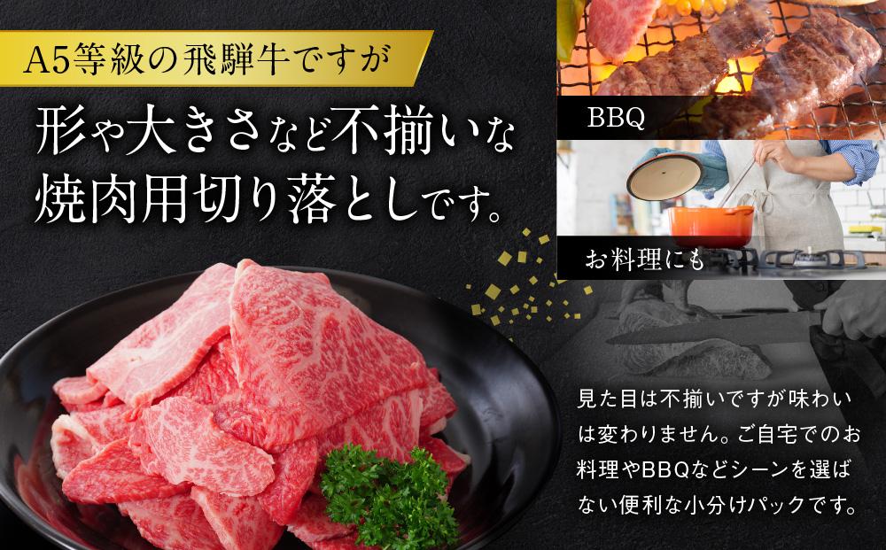 A5等級 飛騨牛 プレミアム 焼肉 切り落とし 600g | 牛肉 牛 和牛 黒毛和牛 リブロース BBQ キャンプ 肉料理 ブランド牛 訳あり 不揃い 飛騨高山 岩ト屋 HF042