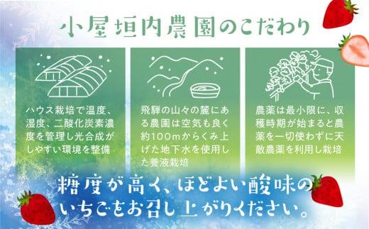 【2026年先行予約】雪見いちご 約200g×4パック | 糖度が高くてほどよい酸味 数量限定 イチゴ フルーツ 果物 いちご 品種おまかせ（紅かおり／山天王／他品種）飛騨高山 小屋垣内農園 JA002