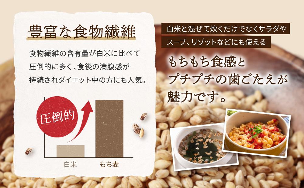 飛騨高山で有機栽培した「もち麦」はねうまもち 1kg | もち麦 雑穀 米 有機栽培 オーガニック 健康 おいしい 飛騨高山 有限会社山藏農園 JC016