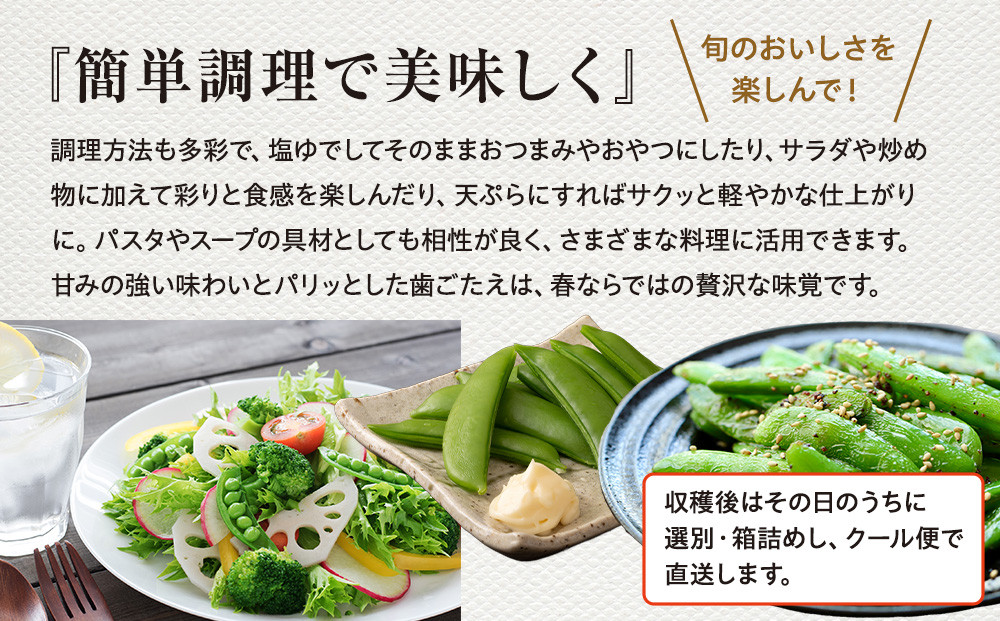 春の食卓を彩る 飛騨高山産 有機栽培スナップエンドウ 1kg（緑色・紫色の混合）（春限定・5〜6月発送）｜新鮮 春野菜 旬の味覚 えんどう 彩り野菜 山藏農園 JC020