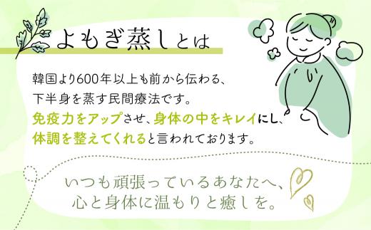 よもぎ蒸し体験 チケット 健康 美容 デトックス 体験 サロン Mantap 飛騨高山 国産 よもぎ 天然よもぎ  JG002