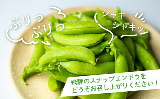 【数量限定】≪10月頃より発送開始≫ 飛騨高山産 希少！晩秋すくなスナッピー1kg ( スナップえんどう ) | 野菜 旬 新鮮 産地直送 期間限定 飛騨 高山 エンドウ 豆 スナックエンドウ えんどう豆 秋野菜 飛騨高山 宿儺さま KA002