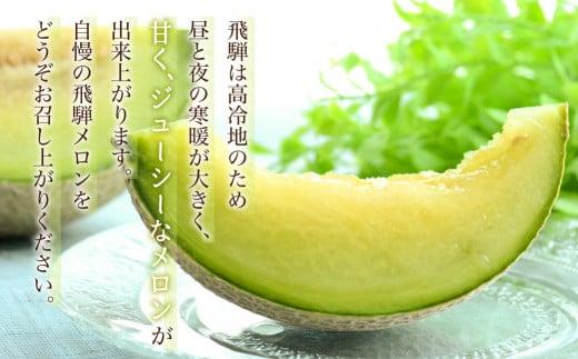 【数量限定】2025年先行予約 厳選！入賞飛騨メロン1玉 ≪8月頃より順次発送≫ | 飛騨高山産 めろん 上位入賞メロン 果物 くだもの フルーツ 期間限定 数量限定 飛騨高山 宿儺さま KA011