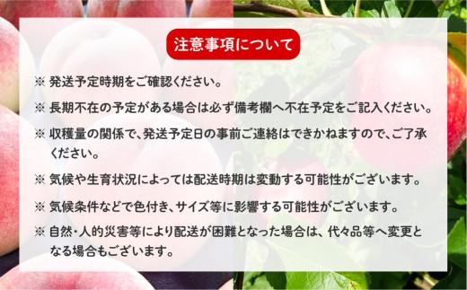【先行受付】飛騨りんご2種詰め合わせ 3kg | りんご 林檎 リンゴ 果物 フルーツ 産地直送 品種お任せ 日付指定不可 9月下旬～11月上旬頃順次発送 堤果樹園 KU001