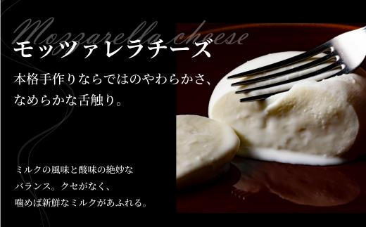 飛騨生乳100％ モッツァレラチーズ 2個（1個125g）| チーズ モッツァレラ 冷蔵 個包装 カプレーゼ パスタ ピザ 前菜 サラダ 新鮮 生乳 国産 低温殺菌 乳製品 無添加 飛騨高山 チーズ工房トリデンテ LF001