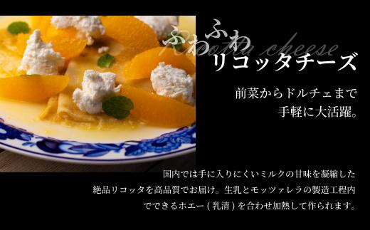 飛騨生乳100％ リコッタチーズ 2個（1個250g）| リコッタ 冷蔵 サラダ お菓子 前菜 サラダ 新鮮 生乳 国産 低温殺菌 乳製品 無添加 大容量 業務用サイズ 飛騨高山 チーズ工房トリデンテ LF006