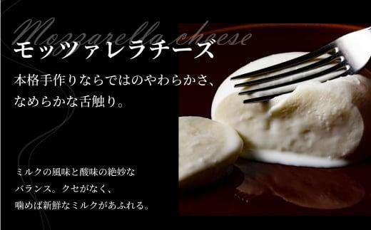 飛騨生乳100％ トリデンテチーズ3種食べ比べ（モッツァレラ1個 リコッタ1個 モッツァレラ生ブロック1個）| モッツァレラリコッタ 冷蔵 サラダ お菓子 前菜 サラダ 新鮮 生乳 国産 低温殺菌 乳製品 無添加 飛騨高山 チーズ工房トリデンテ LF008