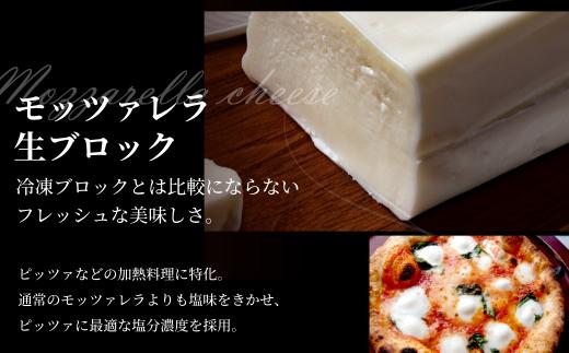 飛騨生乳100％ モッツァレラチーズ生ブロック | チーズ モッツァレラ 冷蔵  個包装 カプレーゼ パスタ ピザ 前菜 サラダ 新鮮 生乳 国産 低温殺菌 乳製品 無添加 大容量 業務用サイズ 飛騨高山 チーズ工房トリデンテ LF010