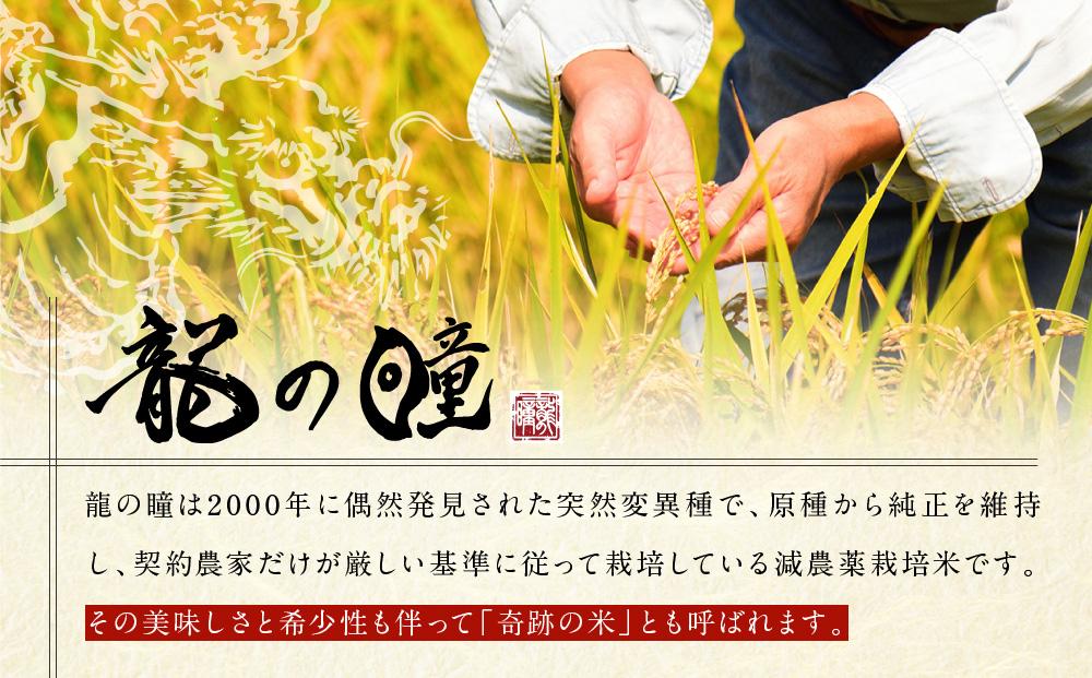 龍の瞳で作った米焼酎 25度 300ml×3本 | 酒 お酒 さけ 焼酎 米焼酎 おすすめ 人気 飛騨高山 おみやげ処 三川屋 LH017