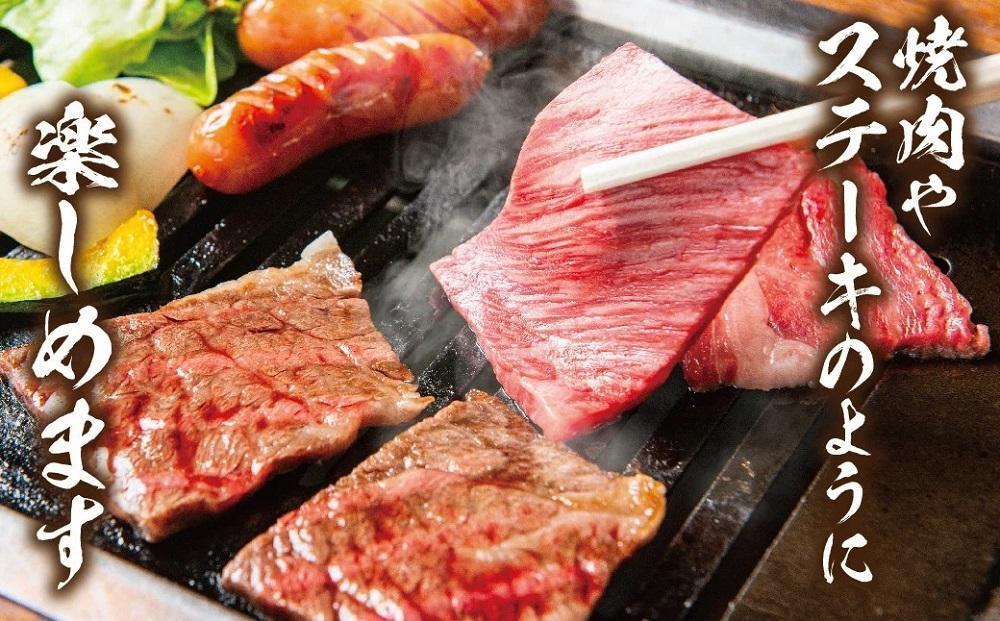 【2026年1月～4月発送】飛騨牛 訳あり焼肉1kg 切りおとし | 牛肉 訳あり 部位 大きさ 不揃い 日付指定不可 冷凍 焼き肉 BBQ バーベキュー 切落し 和牛 牛肉 飛騨高山 株式会社丸明 LR008FAJ01-04