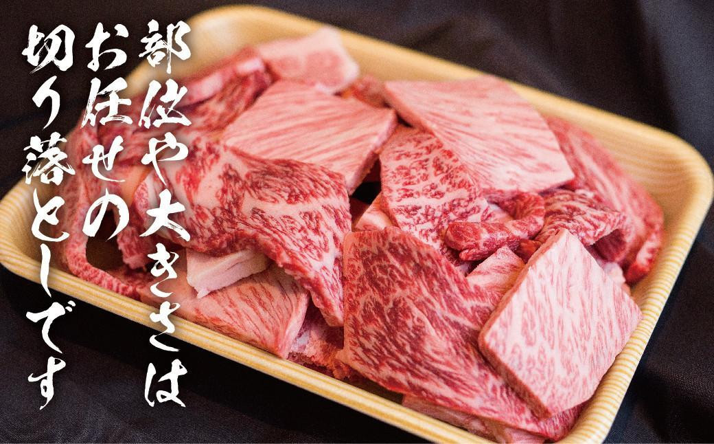 【定期便全3回】飛騨牛 訳あり焼肉1kg 切り落とし  肉 にく 焼肉 飛騨牛 高山｜2ヶ月に1回お届け 飛騨高山 株式会社丸明 LR105