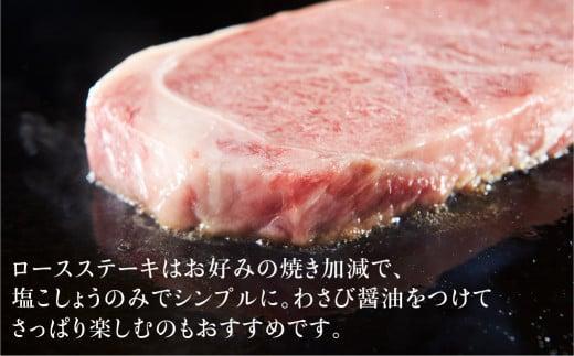 【12月配送】飛騨牛 ロース ステーキ 200g×2枚 2人前 | 年内発送 ロースステーキ  霜降り 牛肉 黒毛和牛 和牛 国産牛 サーロインステーキ 高級肉 飛騨高山 山武商店  LZ017VC12