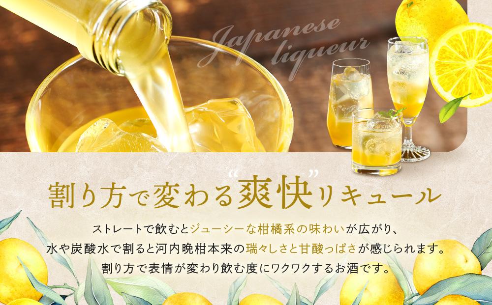 バンカンチェッロ180ml 2本セット | 和製リキュール 河内晩柑 アルコール 酒 サワー 有限会社森瓦店 MM025