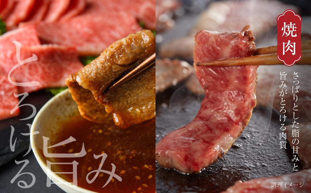 飛騨牛 焼肉 厳選2種盛（赤身・カルビ） 600g（150g×各2パック） 冷凍真空パック | 肉 お肉 焼肉 焼き肉 やきにく 黒毛和牛 和牛 個包装 小分け 人気 おすすめ 牛肉 ギフト お取り寄せ【飛騨高山ミートMZ008】
