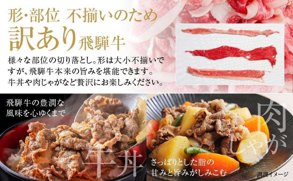 訳あり 飛騨牛 切落とし 600g（150g×4パック） 冷凍真空パック | 肉 お肉 切り落とし すき焼き すきやき 黒毛和牛 和牛 個包装 小分け 人気 おすすめ 牛肉 ギフト お取り寄せ【飛騨高山ミート MZ012】
