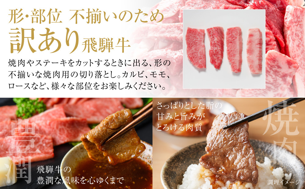 訳あり 飛騨牛 焼肉 切り落とし 500g 冷凍真空パック | 肉 お肉 切落し 不揃い 焼肉 焼き肉 やきにく 黒毛和牛 和牛 人気 おすすめ 牛肉 ギフト お取り寄せ 飛騨高山ミート MZ013