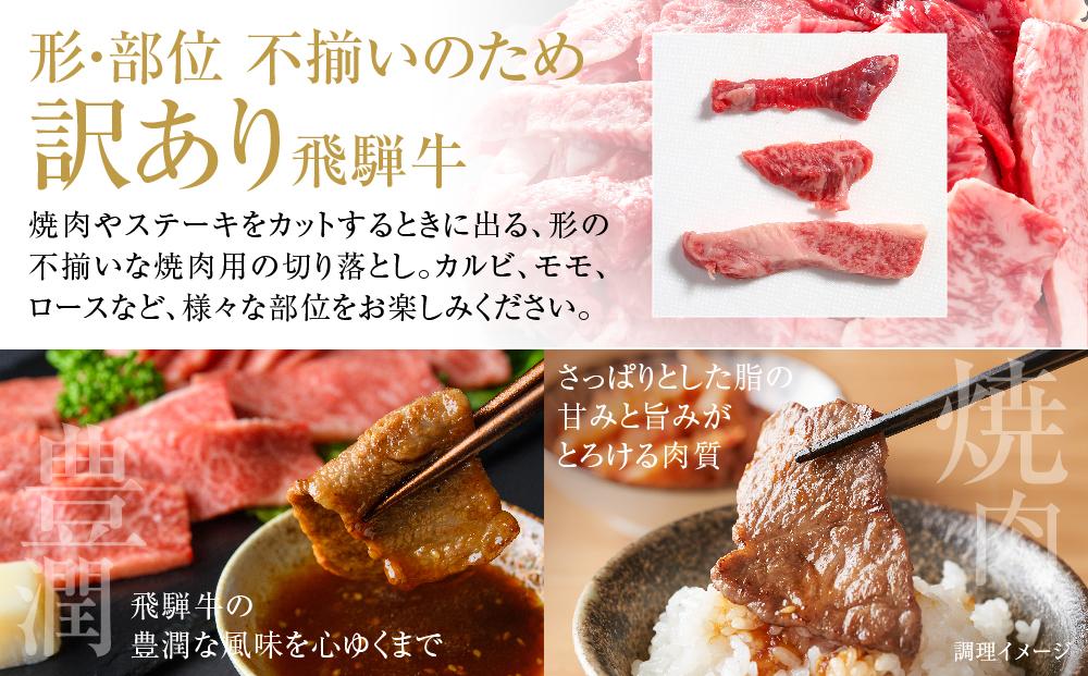 訳あり 飛騨牛 焼肉 切落とし 600g（150g×4パック） 冷凍真空パック | 肉 お肉 焼肉 焼き肉 やきにく 黒毛和牛 和牛 個包装 小分け 人気 おすすめ 牛肉 ギフト お取り寄せ【飛騨高山ミート MZ014】