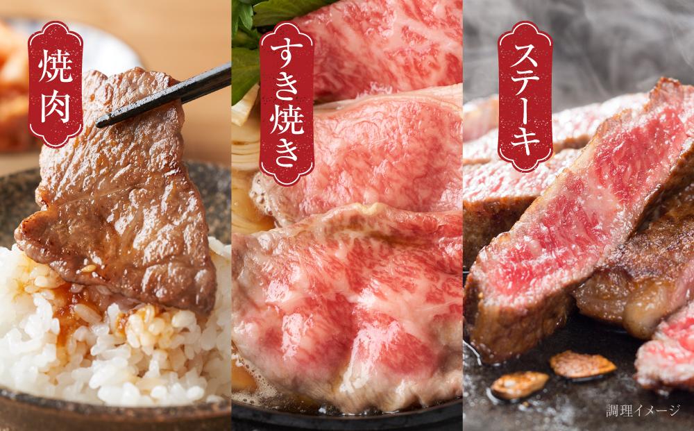 【定期便】飛騨牛 全５回（焼肉・すき焼き・ステーキ）計3kg | 焼肉 ステーキ カルビ 食べ比べ 牛 定期【飛騨高山ミート MZ100】
